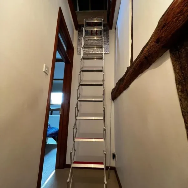 Concertina Ladder