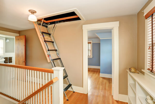 Loft Ladders